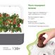 Розумний сад - гідропонна установка для рослин, Smart Garden 9, сірий 8899 SG9 фото 12