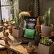 Субстрат Lechuza CACTUSPON 3 л 19545 фото 5