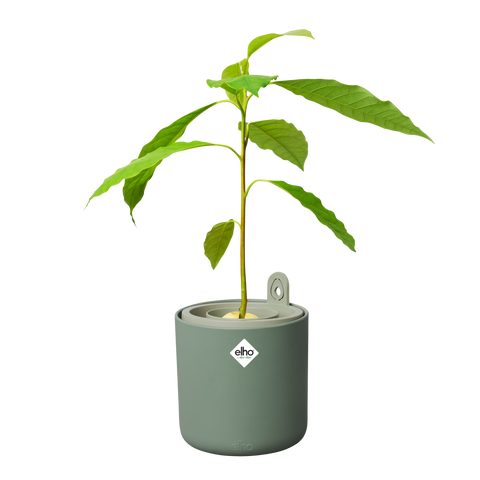 Горщик Elho avocado pot зелений 519520 фото