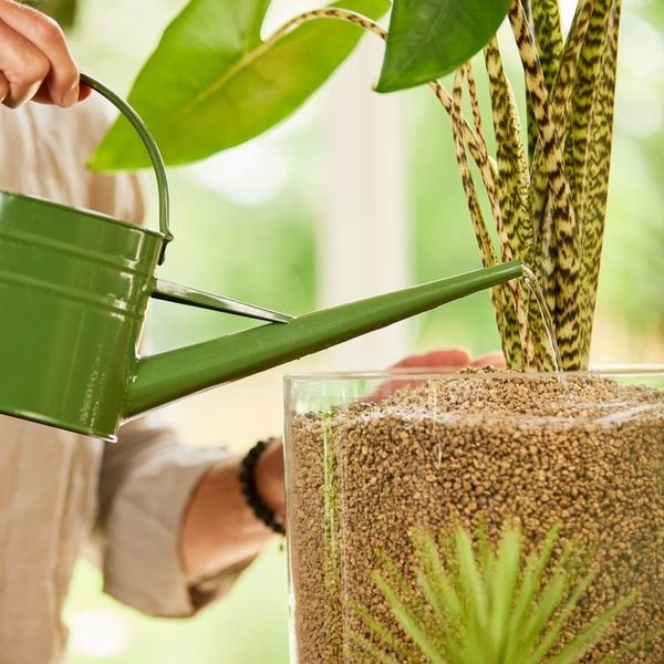 Добриво для рослин COMPO BIO GRANUPLANT 500 мл 3777 фото