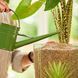 Добриво для рослин COMPO BIO GRANUPLANT 500 мл 3777 фото 3