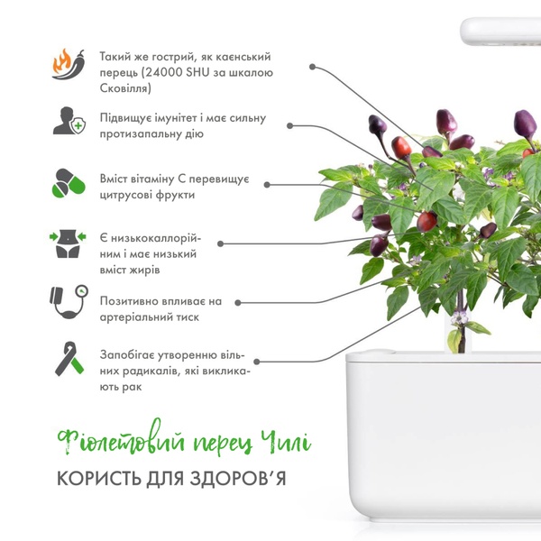 Змінний картридж Click & Grow Перець Чилі фіолетовий( Purple Chili Pepper) 3 капсули 8745 фото