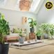Розумний вазон з автополивом Lechuza CLASSICO Color ECO 28 темно-сірий 18925 фото 11