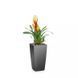 Розумний вазон з автополивом Lechuza MAXI-CUBI антрацитовий металік 18053 фото 1