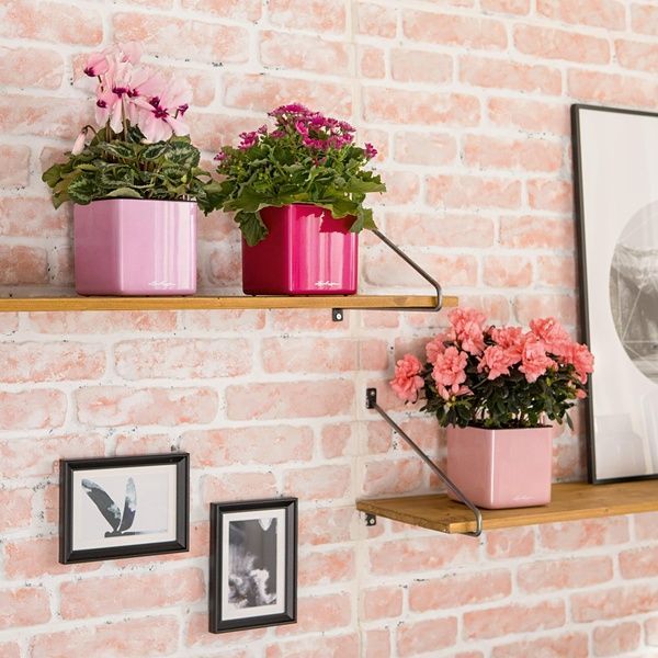 Вазон Lechuza CUBE Glossy 14 вишневий блискучий 13514 фото
