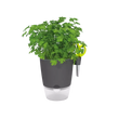 Вазон Elho Brussels Herbs, All in 1, 13 см, Антрацит
