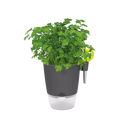 Вазон Elho Brussels Herbs, All in 1, 13 см, Антрацит 274733 фото