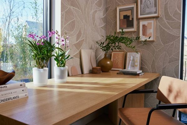 Набір Горшик Elho Vibes fold orchid high 13 см прозорий + Горшик Elho Vibes fold orchid high 13 см рожевий 527662+527693 фото