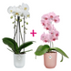 Набір Горшик Elho Vibes fold orchid high 13 см прозорий + Горшик Elho Vibes fold orchid high 13 см рожевий 527662+527693 фото 1