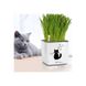 Вазон Lechuza CUBE Glossy CAT 14 чорний блискучий 13508 фото 4