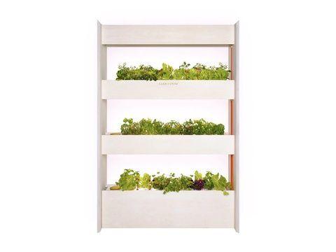 Вертикальний сад Click & Grow великий Salad & Herb Kit WFHSK фото