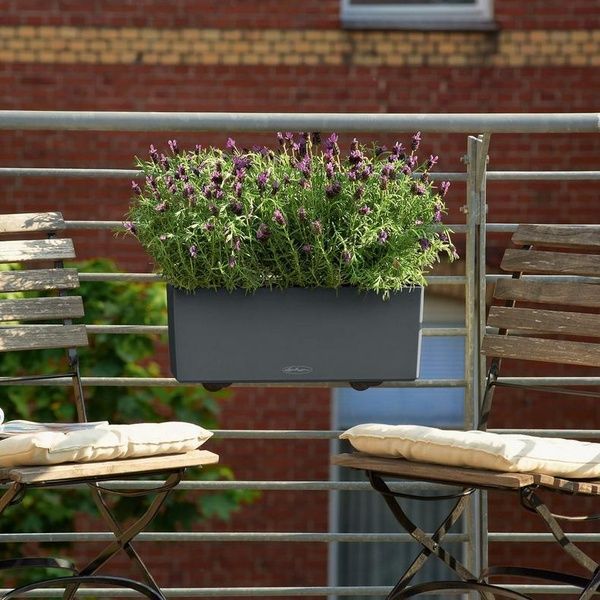 Набір Розумний вазон з автополивом Lechuza BALCONERA Color 50 білий 2 шт 15670*2 фото