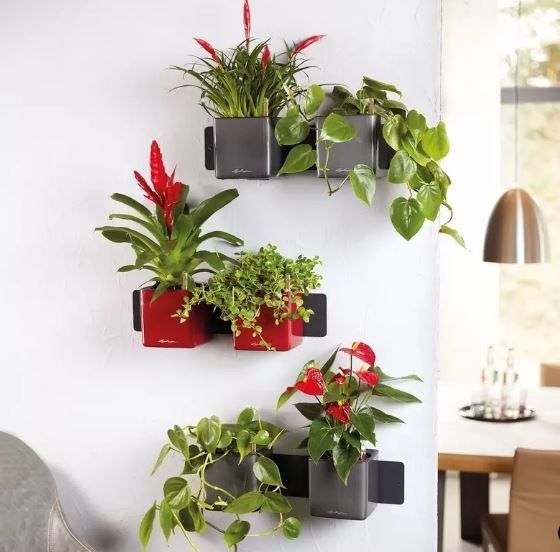 Розумний вазон з автополивом Lechuza Green Wall Home Kit Glossy антрацитовий блискучий 13524 фото