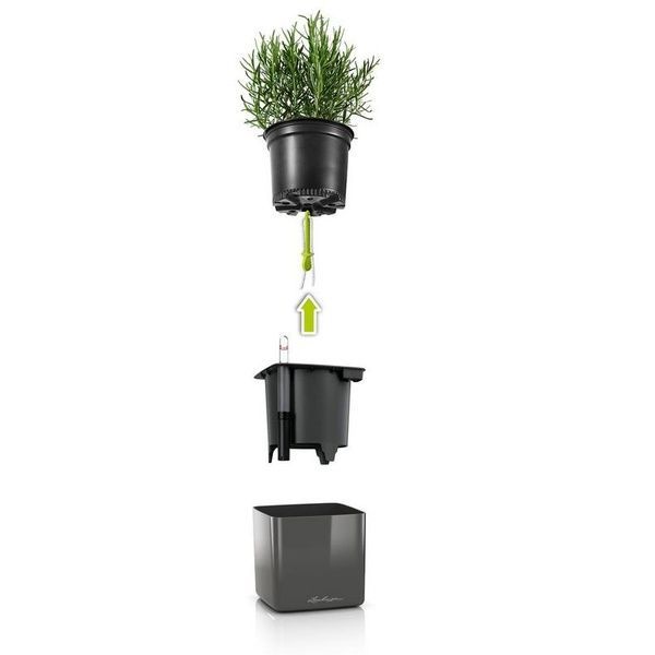 Розумний вазон з автополивом Lechuza Green Wall Home Kit Glossy антрацитовий блискучий 13524 фото