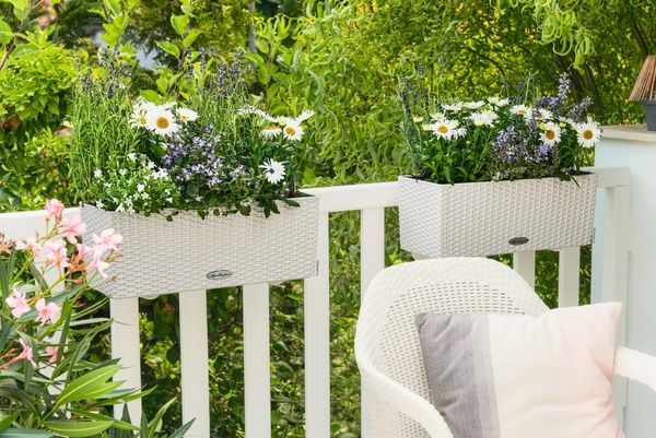 Набір Розумний вазон з автополивом Lechuza BALCONERA Cottage 50 білий 2 шт 15600*2 фото