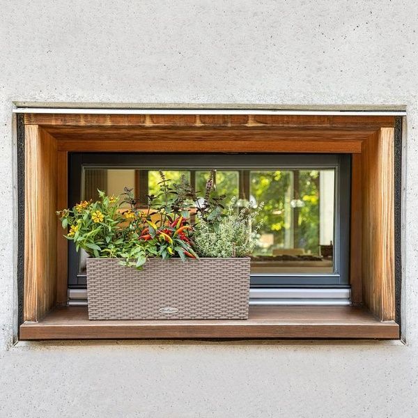 Набір Розумний вазон з автополивом Lechuza BALCONERA Cottage 50 білий 2 шт 15600*2 фото