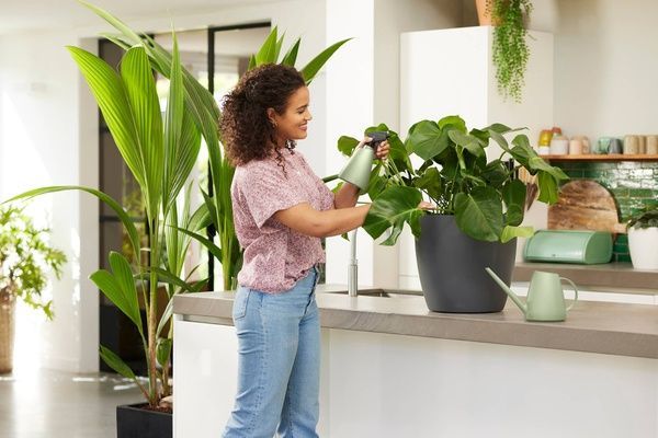 Лійка Elho brussels watering can 1,8 л фісташковий 536541 фото