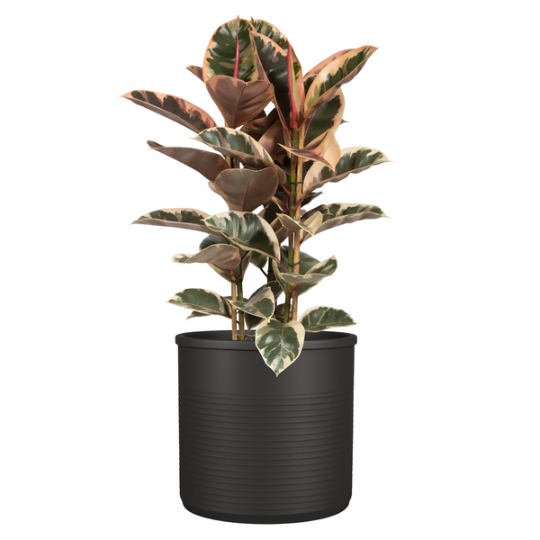 Кашпо Edelman Momo cylinder Mica Decorations 32 см темно-сірий 1114826 фото