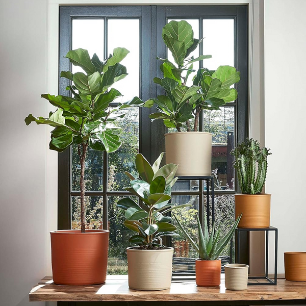 Кашпо Edelman Momo cylinder Mica Decorations 19 см світло-сірий 1114815 фото