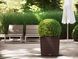 Розумний вазон з автополивом Lechuza CUBE Cottage 50 мокко 15395 фото 5