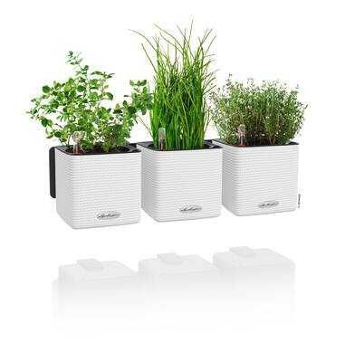 Купити Розумний вазон з автополивом Lechuza Green Wall Home Kit