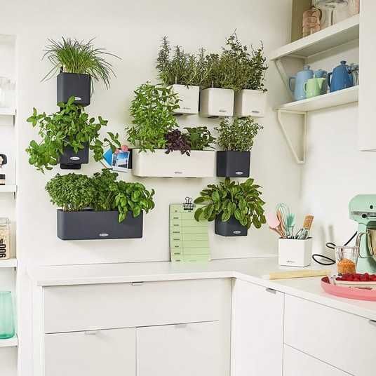 Купити Розумний вазон з автополивом Lechuza Green Wall Home Kit