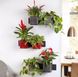 Green Wall Home Kit Glossy білий блискучий 13523 фото 7