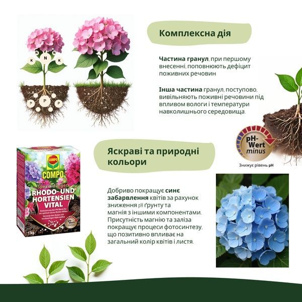 Набір Кислолюбні рослини &ndash; COMPO SANA + COMPO добрива для рододендронів і гортензій SET-1795-1741-2556 фото
