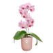 Горшик Elho Vibes fold orchid high 13 см рожевий 527693 фото 3