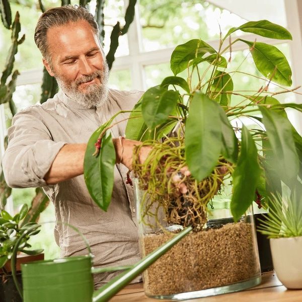 Субстрат COMPO BIO GRANUPLANT для кімнатних рослин, 6 л 8818 фото