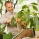 Субстрат COMPO BIO GRANUPLANT для кімнатних рослин, 6 л 8818 фото 5