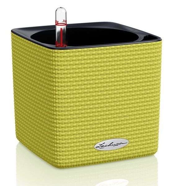 Розумний вазон з автополивом Lechuza CUBE Color 14 салатовий лайм 13385 фото