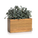 Розумний вазон з автополивом Lechuza PALO Natural Wood 80 wide low 16774 фото 1